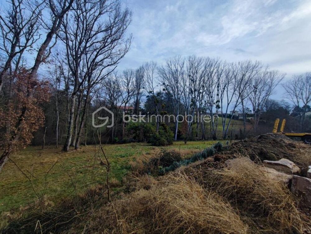 Vente Terrain Terrain à bâtir 1 555 m² – Saint-Jean – Cadre boisé Saint jean
