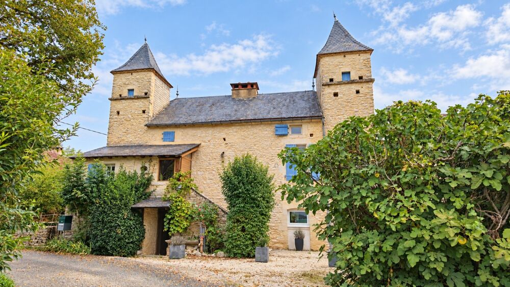 Vente Propriété/Château Cinq gîtes, une maison de caractère : votre changement de vie aux portes du Périgord Noir Leobard