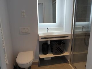  Appartement à louer 1 pièce 17 m²