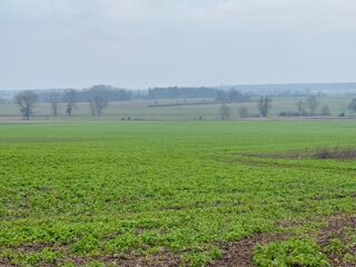  Terrain � vendre 500 m�