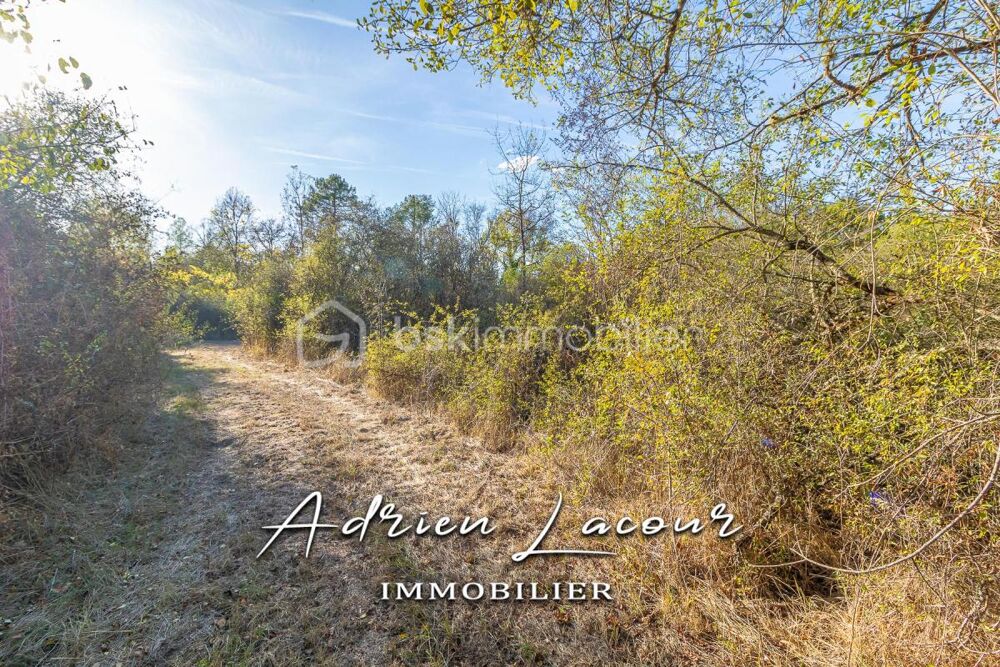 Vente Terrain TERRAIN BOISÉ EN ZONE NATURELLE DE VALLÉE Pruniers en sologne