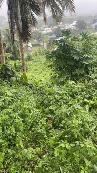  Terrain  vendre 688 m