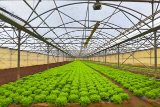  Propri�t�/ch�teau � vendre 4 pi�ces 120 m�