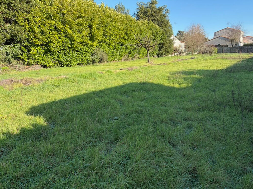 LUCON (85) QUARTIER HYPER RECHERCHE MARCHE COUVERT BATISSE EN PIERRES A RENOVER AVEC TERRAIN 1000M²