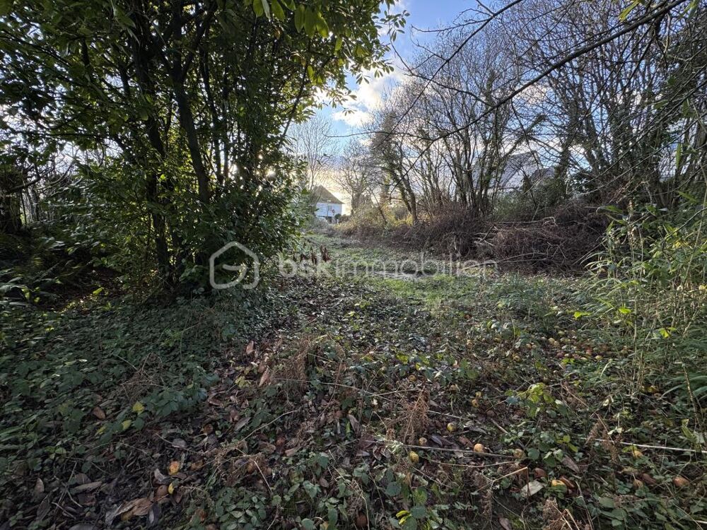 Vente Terrain TERRAIN CONSTRUCTIBLE NON VIABILISÉ DE 494M² À OCTEVILLE Cherbourg octeville
