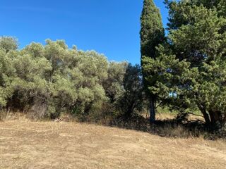  Terrain � vendre 431 m�