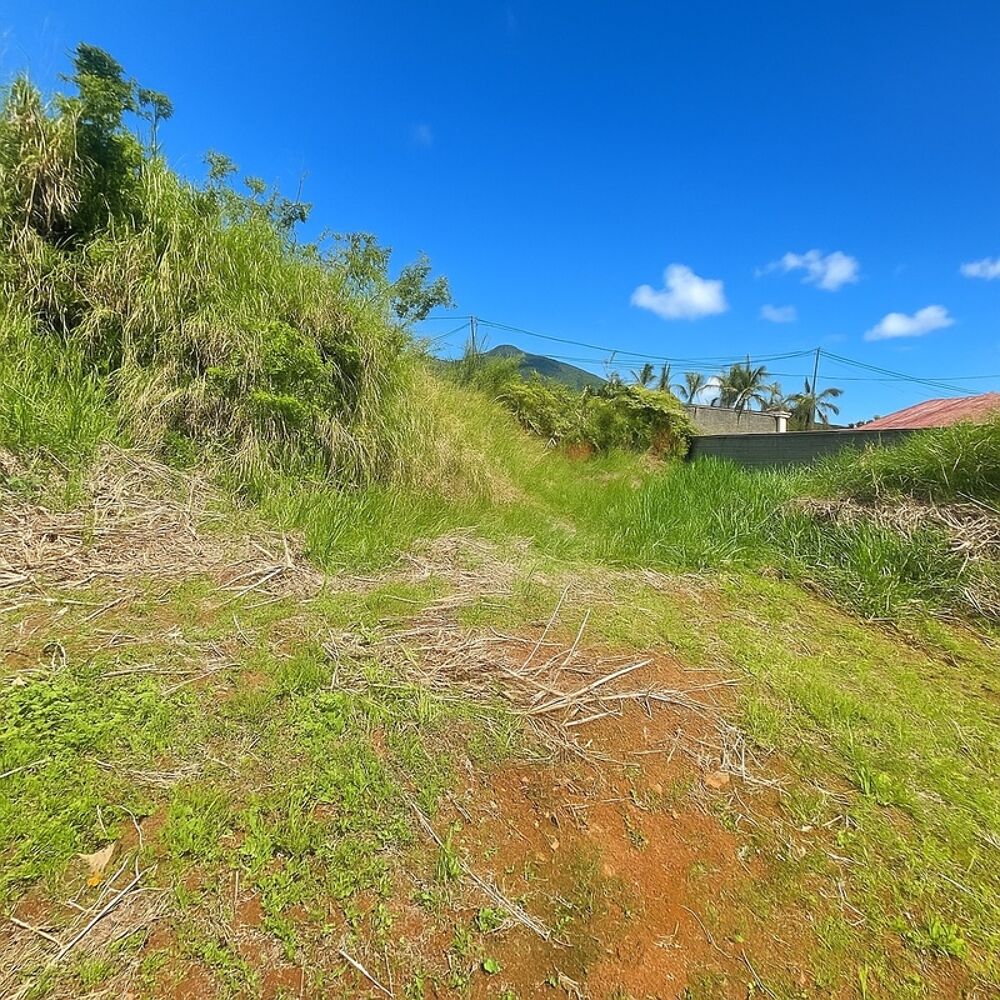 Vente Terrain ? Terrain plat constructible – 610 m² – Les Makes (97421) Les makes