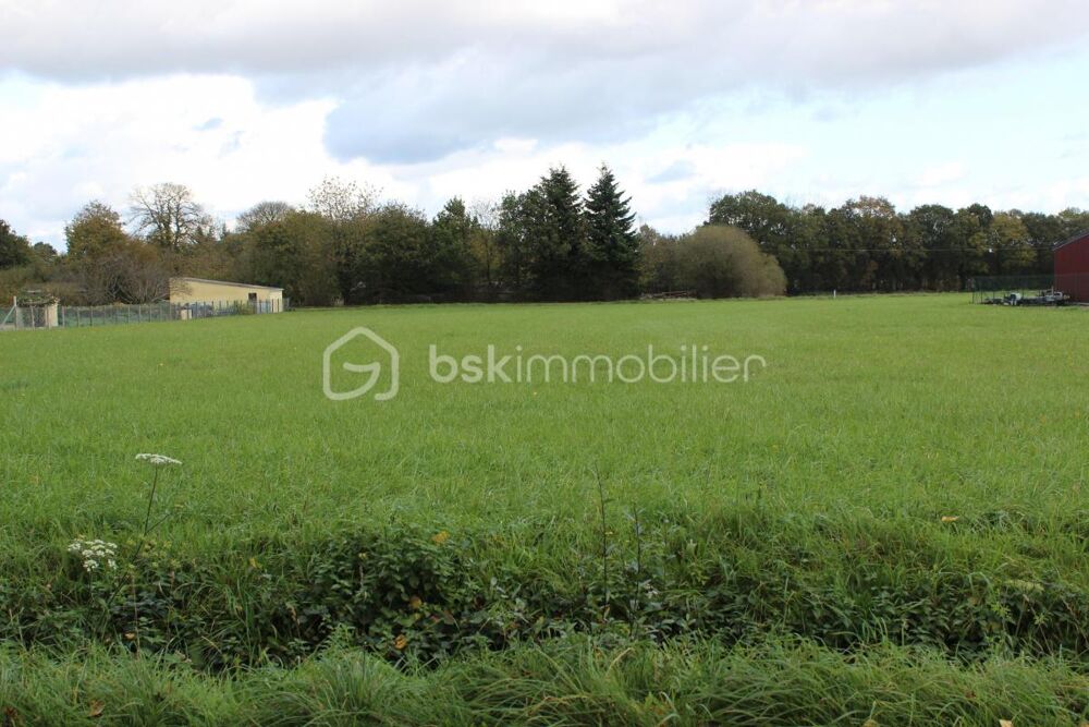 Vente Terrain Terrain 4000m² constructible Mauron
