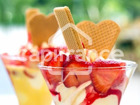 Pyrénées Orientales (66) - Fonds de commerce Bar-Restaurant-Tapas-Pizzas-Glacier - Port d'Argelés-sur-Mer 170000 66700 Argeles sur mer
