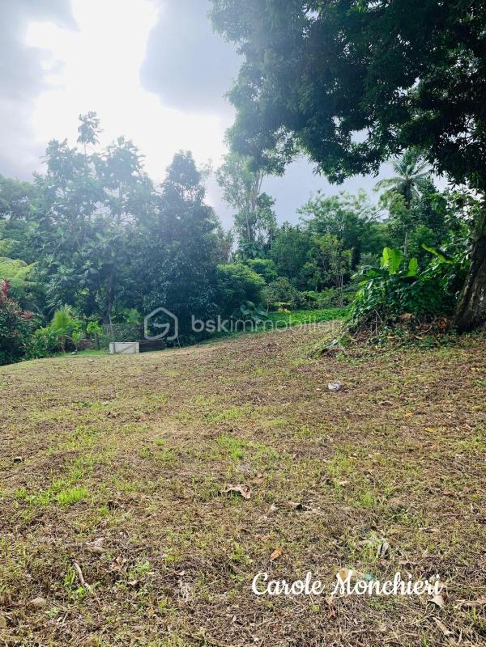 Vente Terrain TERRAIN CONSTRUCTIBLE Capesterre belle eau