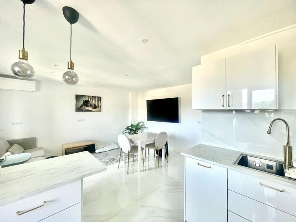 Vente Appartement Cannes Petit Juas 2 pièce vue mer 42 m2 Cannes