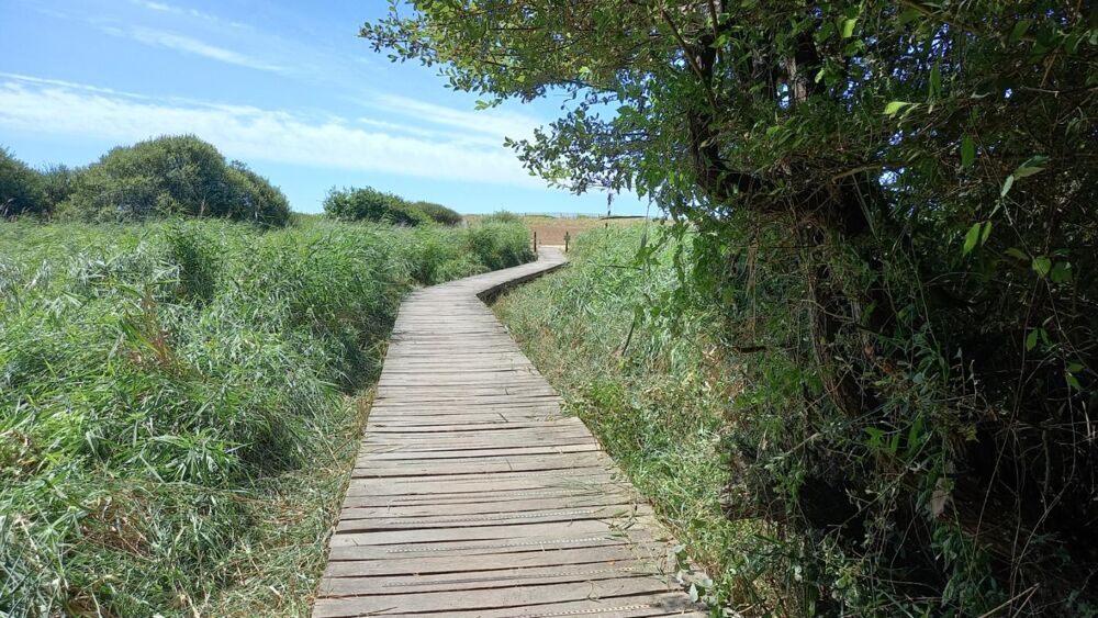 Vente Terrain Terrain constructible - Accès plage Landrezac - 792 m2 Sarzeau