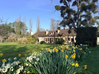  Propriété/château à vendre 10 pièces 364 m²