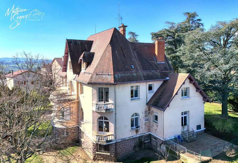 à vendre  Propriété/château Chazelles-sur-Lyon (42140)