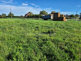 Vente Terrain Terrain à vendre de 1 561,00 m² FRELINGHIEN (59) Frelinghien