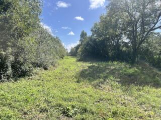  Terrain  vendre 20160 m