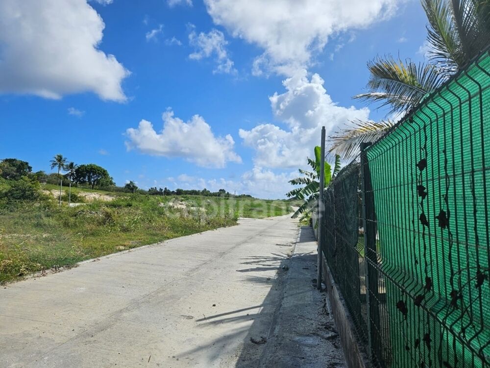 Vente Terrain Terrain à vendre dans lotissement neuf à Petit-Canal Guadeloupe Petit canal