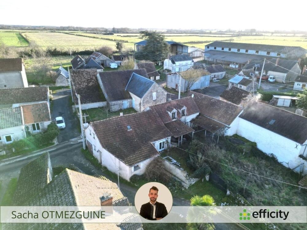 Vente Maison Maison Pleumartin