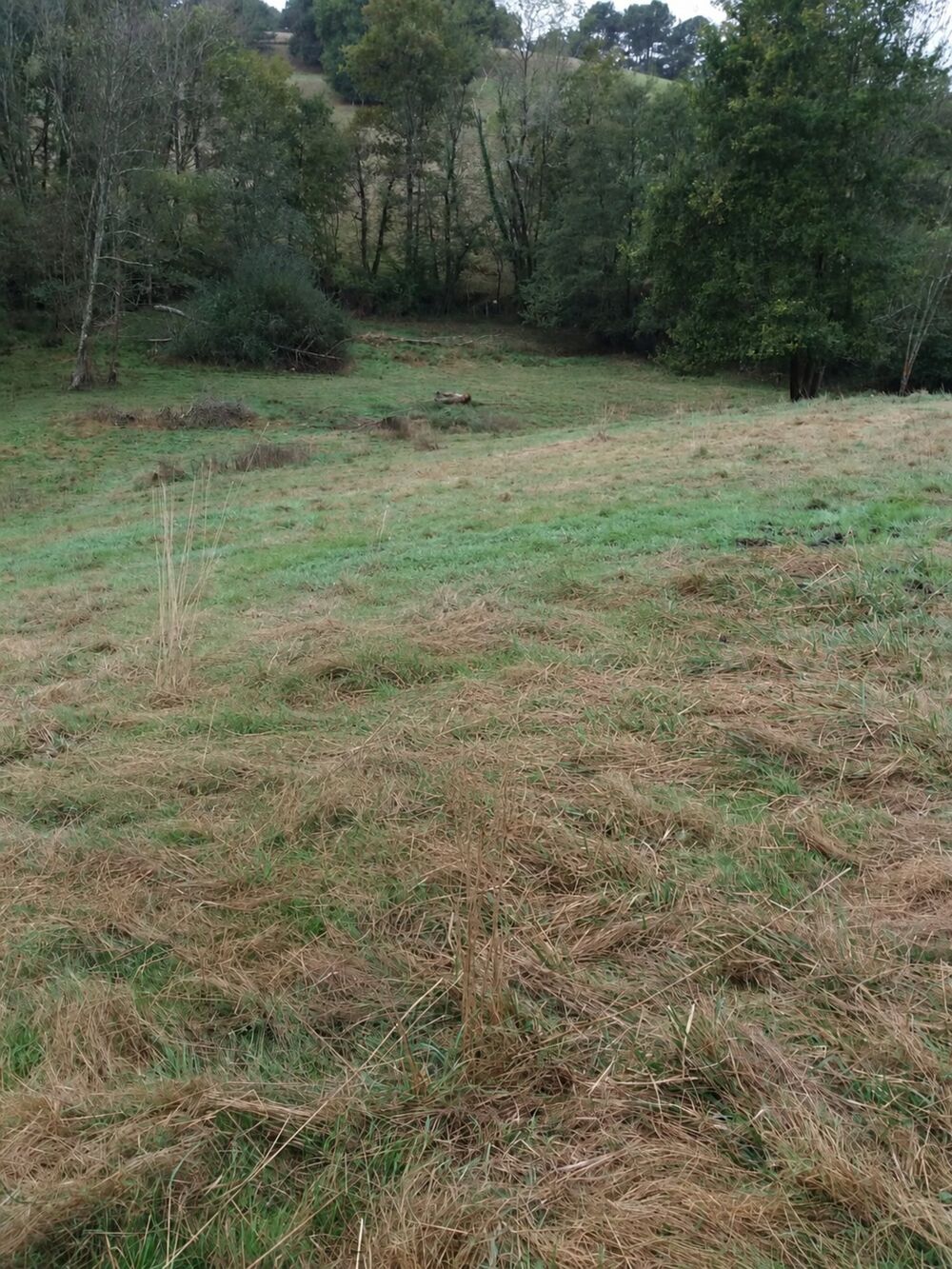 Vente Terrain ORTHEZ – Terrains naturels et agricoles de 15 070 m² NON CONSTRUCTIBLE Orthez