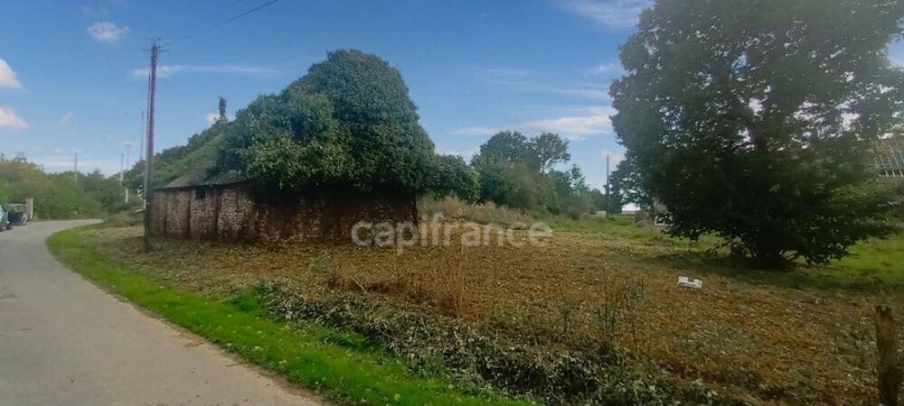 Vente Remise/Grange Terrain constructible avec grange Coesmes