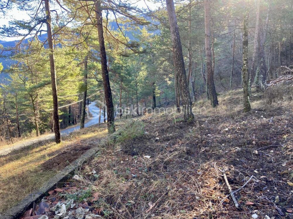 Vente Terrain Terrain en montagne avec permis de construire Le mas