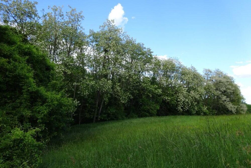 Vente Terrain Terrain à vendre de 625,00 m² Proche de COURTEMAUX (45) Courtemaux