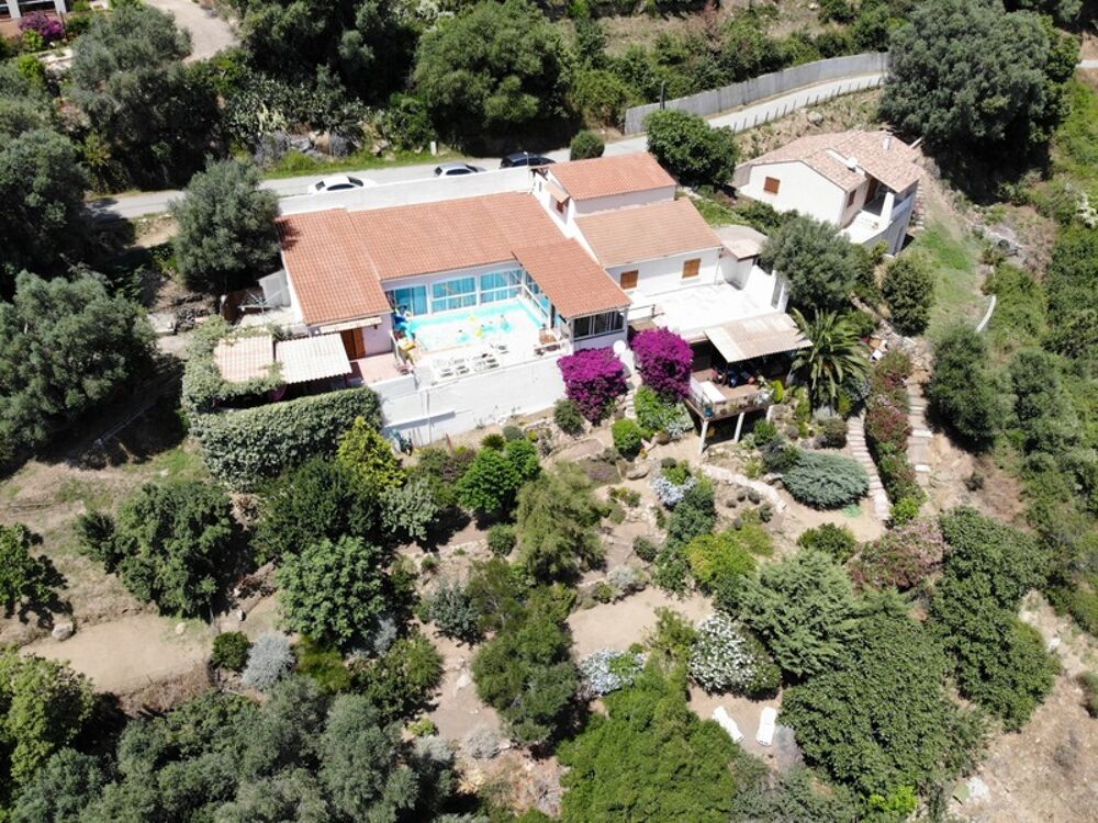 À vendre  Propriété avec maison et appartement indépendant à Olmeto