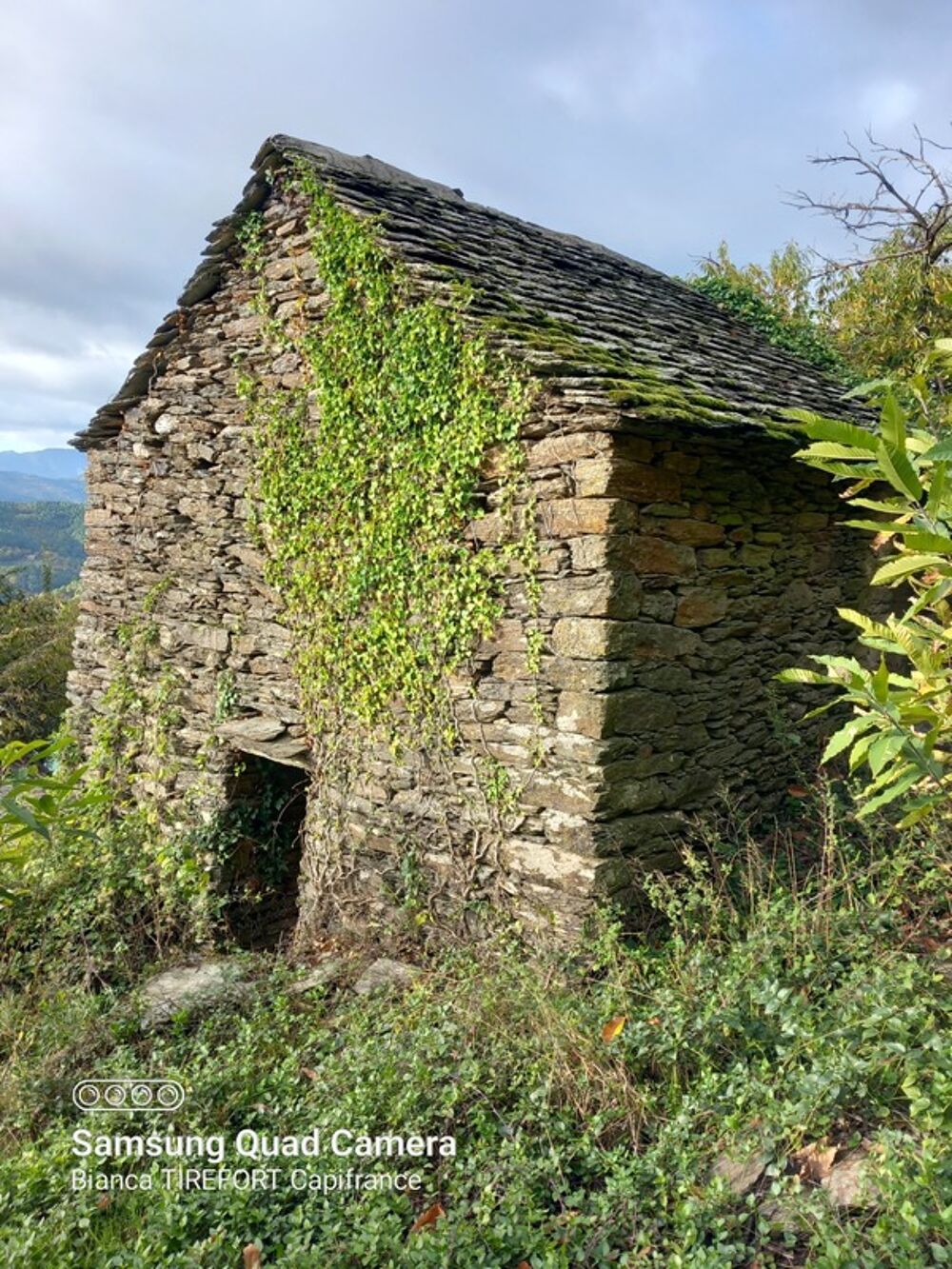 Vente Terrain Terrain à vendre avec ruine  SAINT ETIENNE VALLEE FRANCAISE (48) Saint etienne vallee francaise