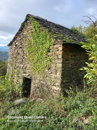  Terrain à vendre 6393 m²