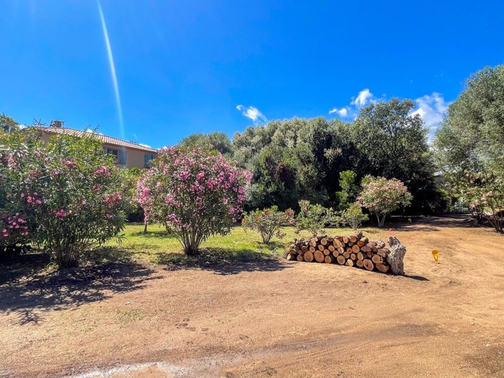 Vente Terrain Terrain à vendre 525 m2 Abbartello- Olmeto plage (20) Olmeto