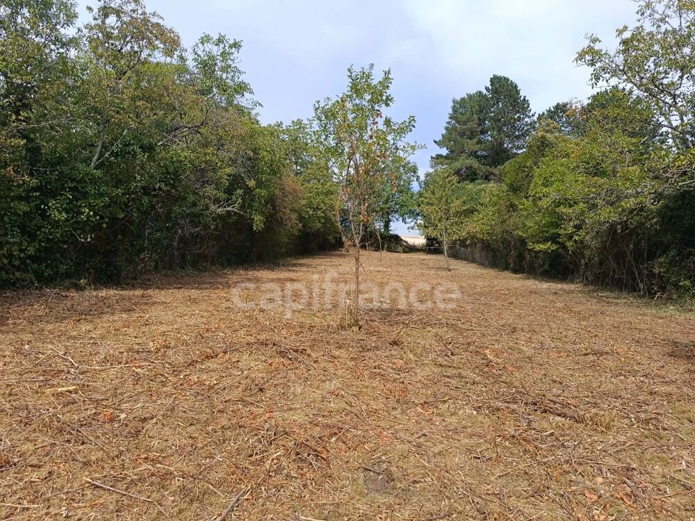 Vente Terrain Terrain à vendre de 1 530,00 m² BELLECHAUME (89) Bellechaume
