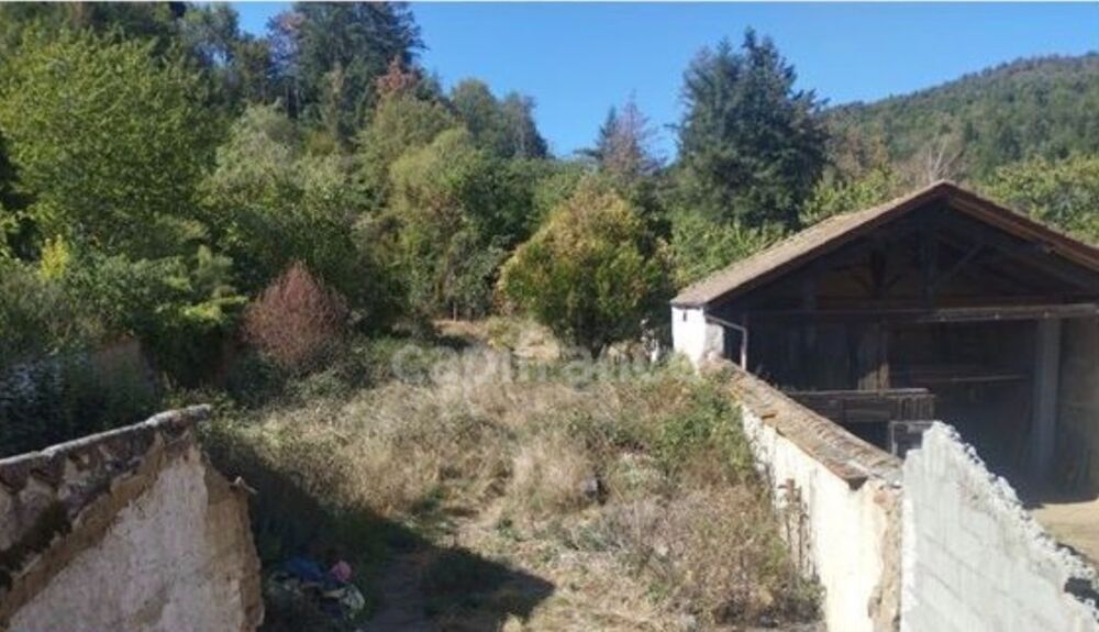Vente Maison Maison 70m2 à rénover + terrain de 810 m2 - à SAIL SOUS COUZAN (42) Sail sous couzan