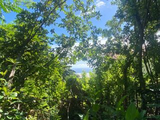  Terrain � vendre 545 m�