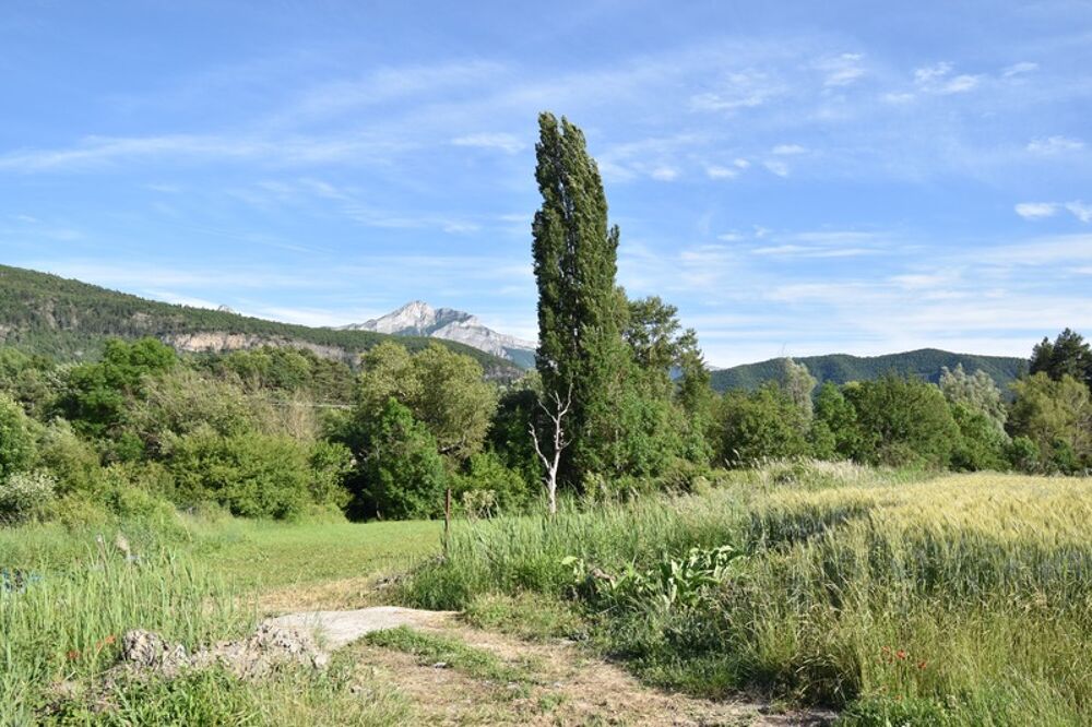 Maison à vendre, LE BRUSQUET (04) Ensemble immobilier avec jardin, logement indépendant et vue dégagée