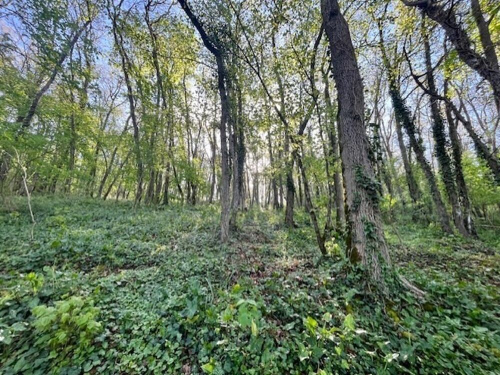 Vente Terrain Terrain à vendre de 1 500m² AVAILLES THOUARSAIS (79) Availles thouarsais