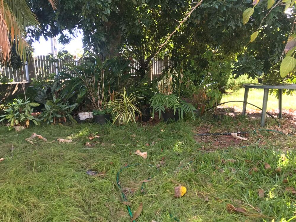 Maison à vendre 5 pièces RAVINE DES CABRIS (974)