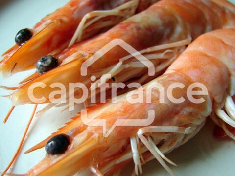 Dpt Charente Maritime (17), &agrave; vendre  Poissonnerie 535000 17200 Royan