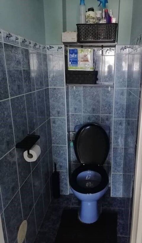  Appartement � louer 3 pi�ces 55 m�