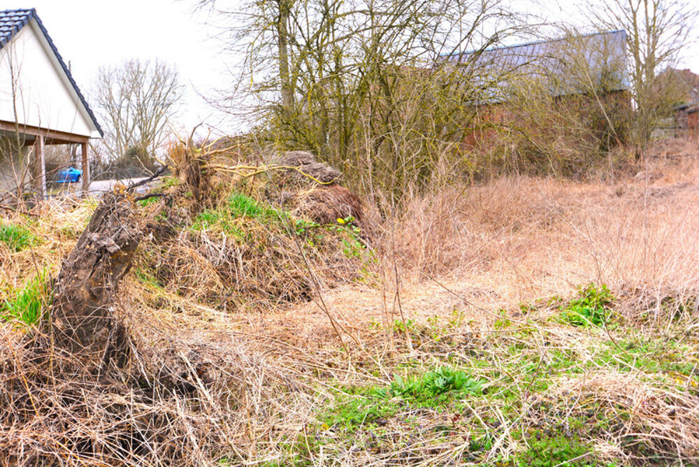 Vente Terrain Terrain constructible à vendre  ORSINVAL (59), 414 m² Orsinval