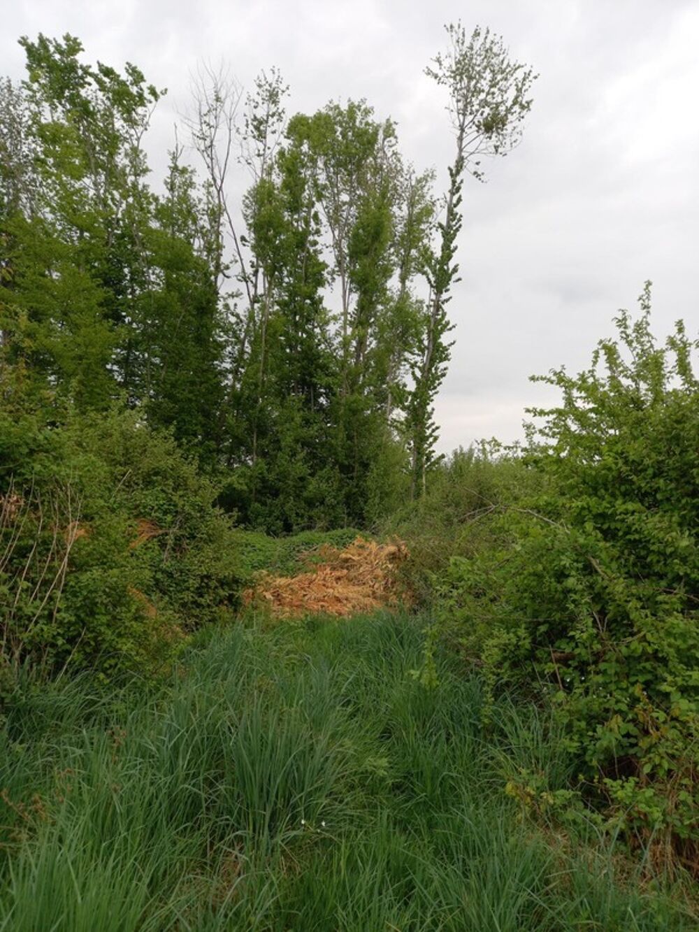 Vente Terrain Terrain � vendre de 2 924,00 m� COURTEMAUX (45) Courtemaux