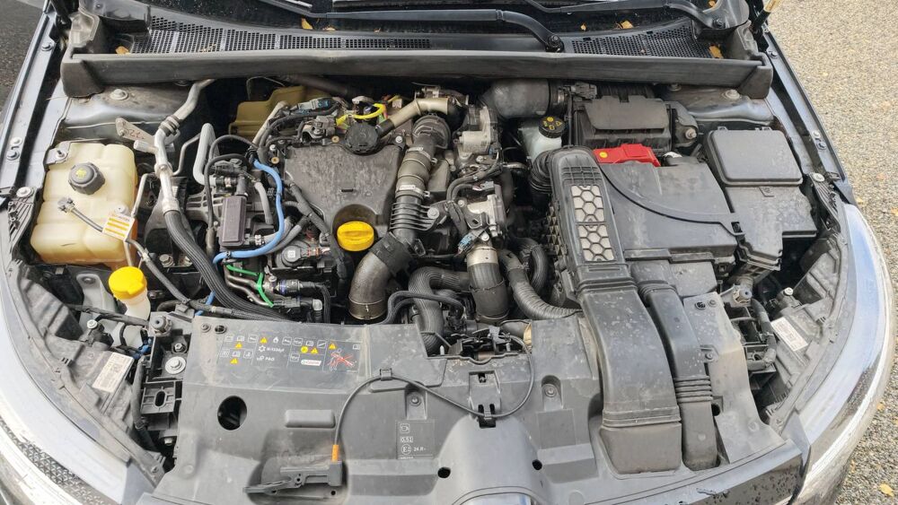 M&eacute;gane 1.5 dCi 115 EDC7 Business 2022 occasion 44260 Malville