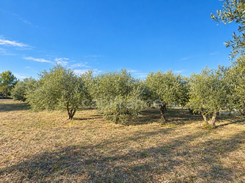 Vente Maison Maison à vendre 4 pièces VEZENOBRES (30) Vezenobres