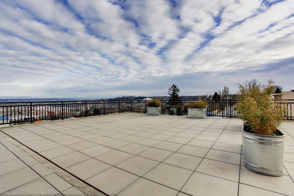 Vente Appartement RARE T2 lumineux à 150m du tramway avec alcôve et très grande terrasse de 40m² ! Chatenay malabry