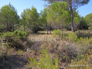  Terrain à vendre 30000 m²