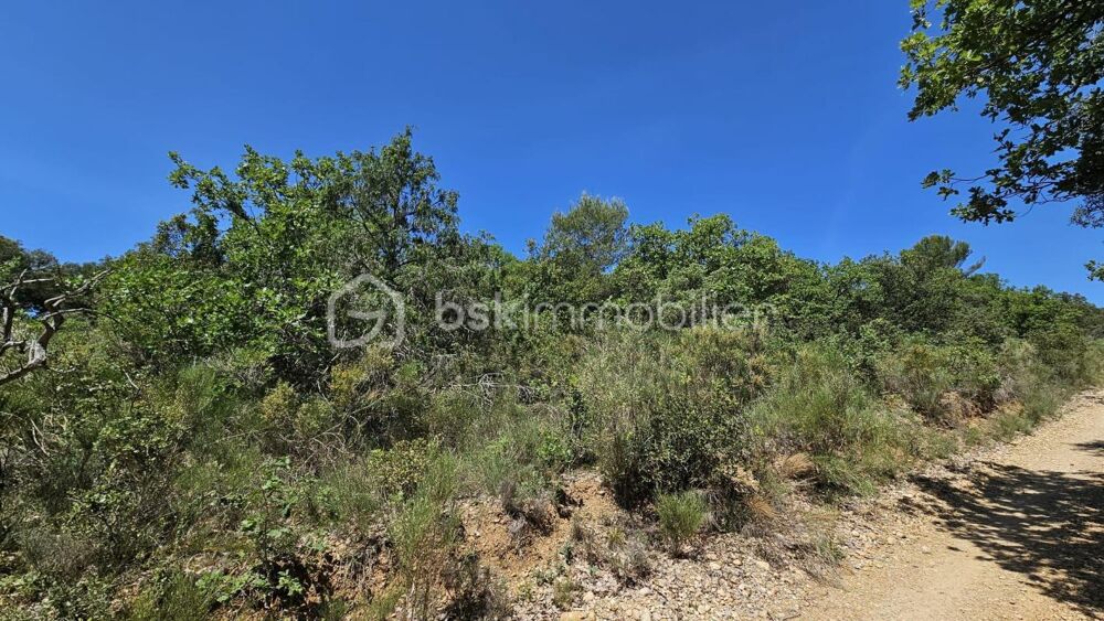 Vente Terrain TERRAIN NON CONSTRUCTIBLE - BRUNET 04210 Brunet