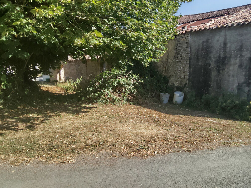 Maison à vendre à rénover entièrement SAINT HILAIRE DE VILLEFRANCHE (17)
