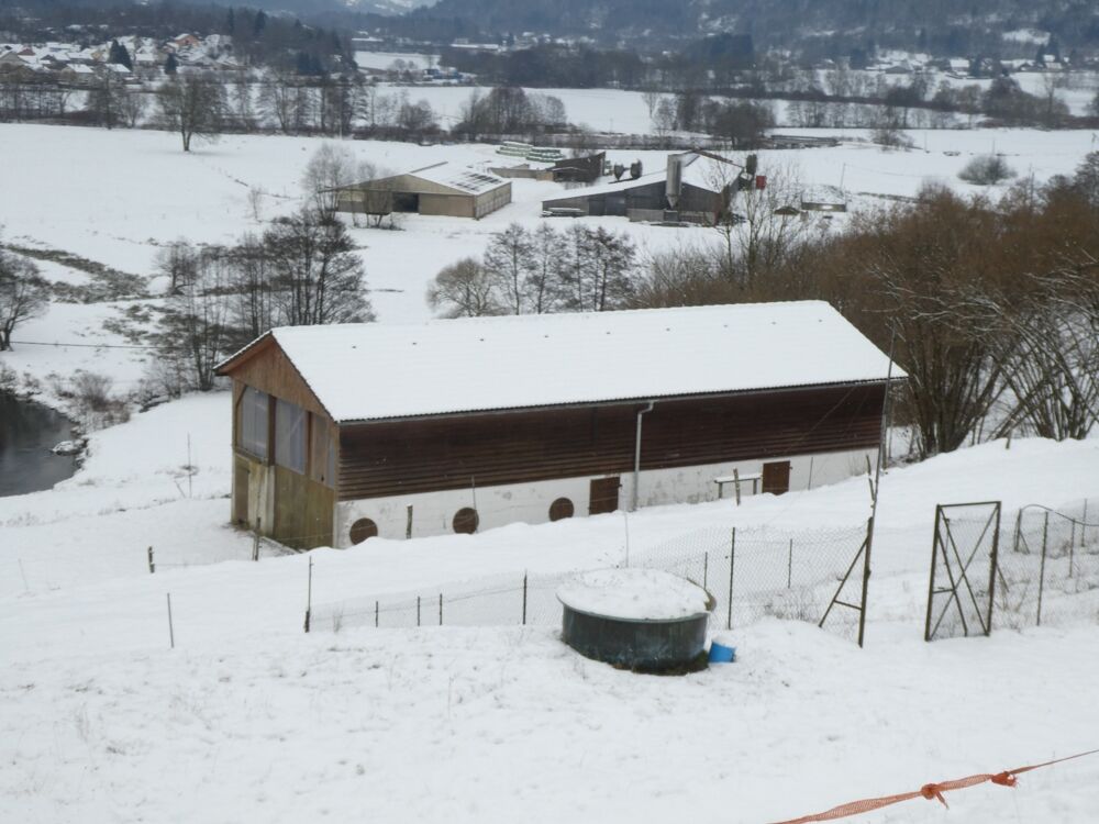 Vente Propriété/Château RUPT SUR MOSELLE (88)A vendre propriété T 10 pièces de 195m² sur sous sol + 4 box à chevaux +rucher, terrain 3.6 hectares Rupt sur moselle