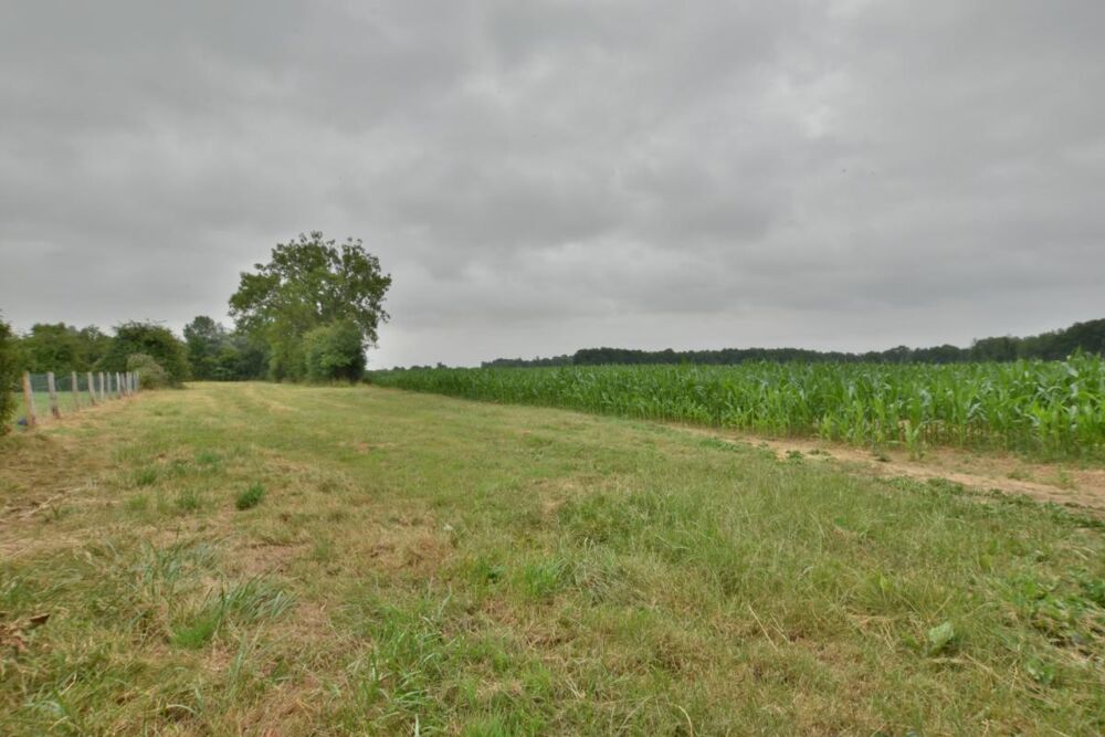 Vente Terrain Terrain plat constructible de 5400M² 20MN de BERNAY, 35000€ Bernay