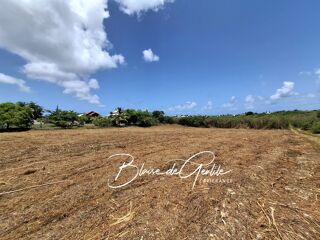  Terrain à vendre 6000 m²