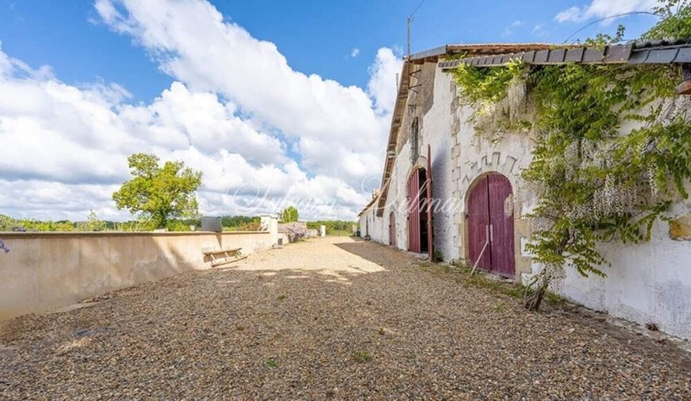 à vendre  Propriété/château Langeais (37130)